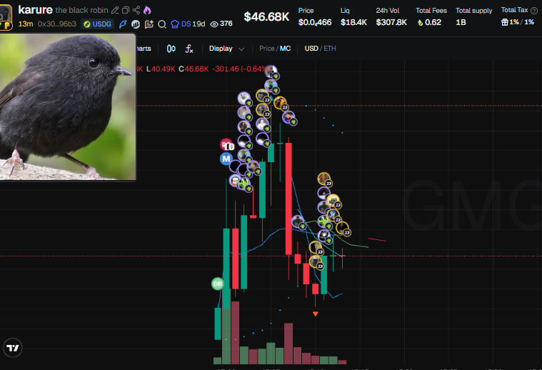 shardsca1ls's tweet photo. Cabal wallets on the Robinhood chain don't move without us seeing it first

$karure didn't slip past our analysis

More detail on this in the telegram, link in bio

CA: 0x300fcb4bbe8c86b844536ea7d817e4bd0f1096b3 https://t.co/BOK9RfEOzl