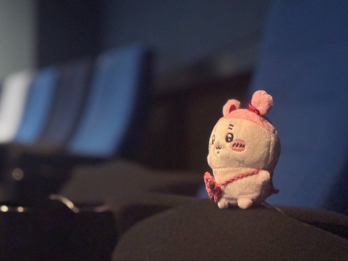 kanicha518's tweet photo. 映画を観るかにちゃん https://t.co/ggFBHaxXrr