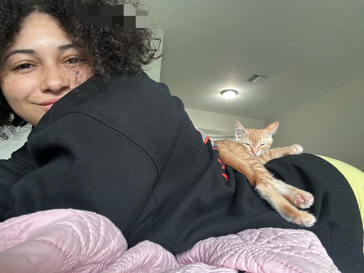 Kenny6fans's tweet photo. @Steela991281 My cat 🐈 https://t.co/yikYgUl5ZL