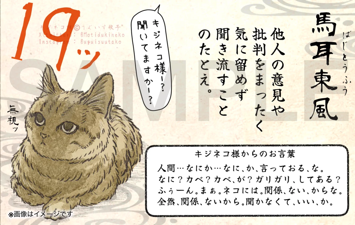 猫きち様　ご確認用 キジネコ様 on X: 