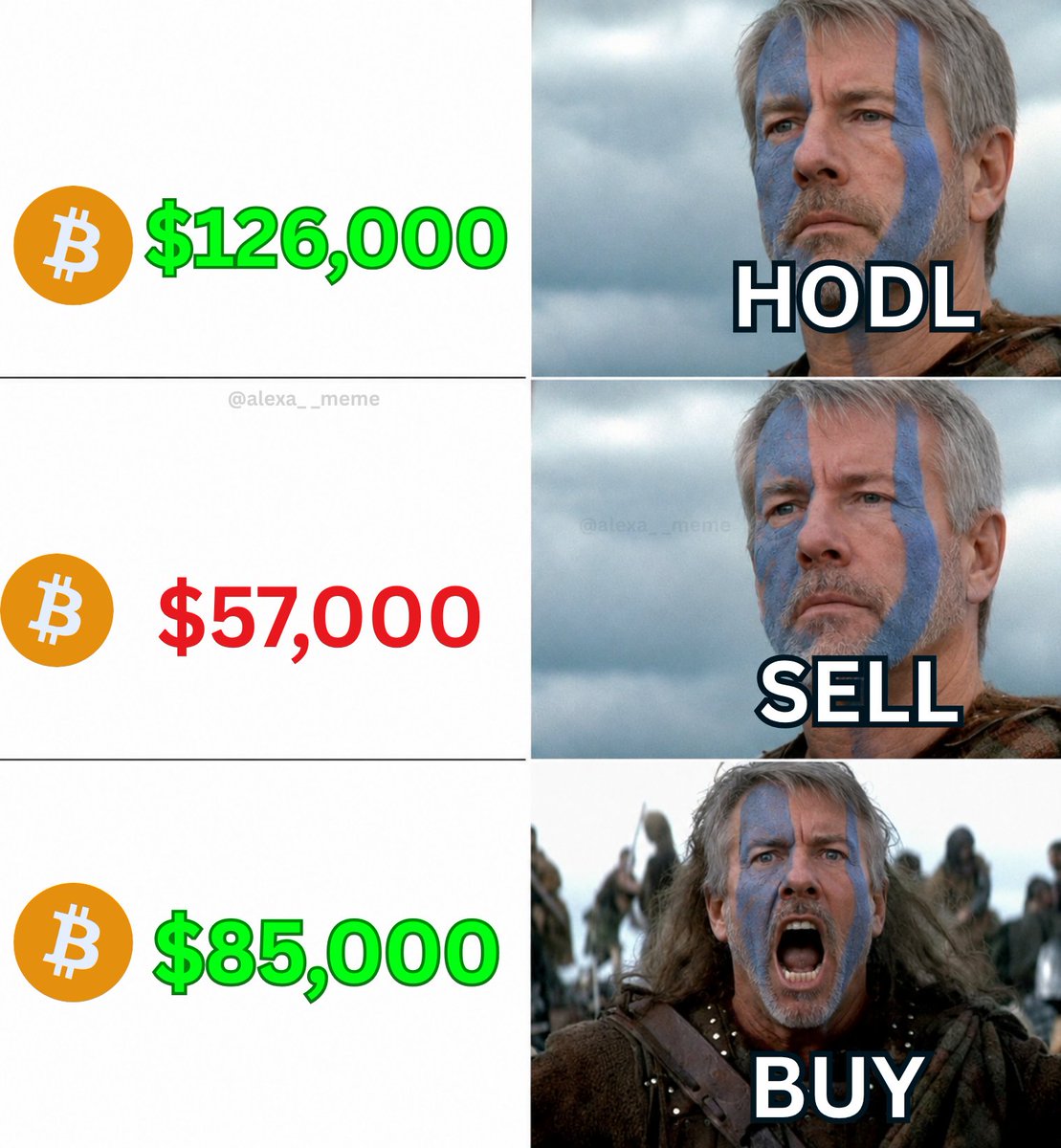 alexa__meme's tweet photo. Michael Saylor's Strategy https://t.co/2FPNYrogzg