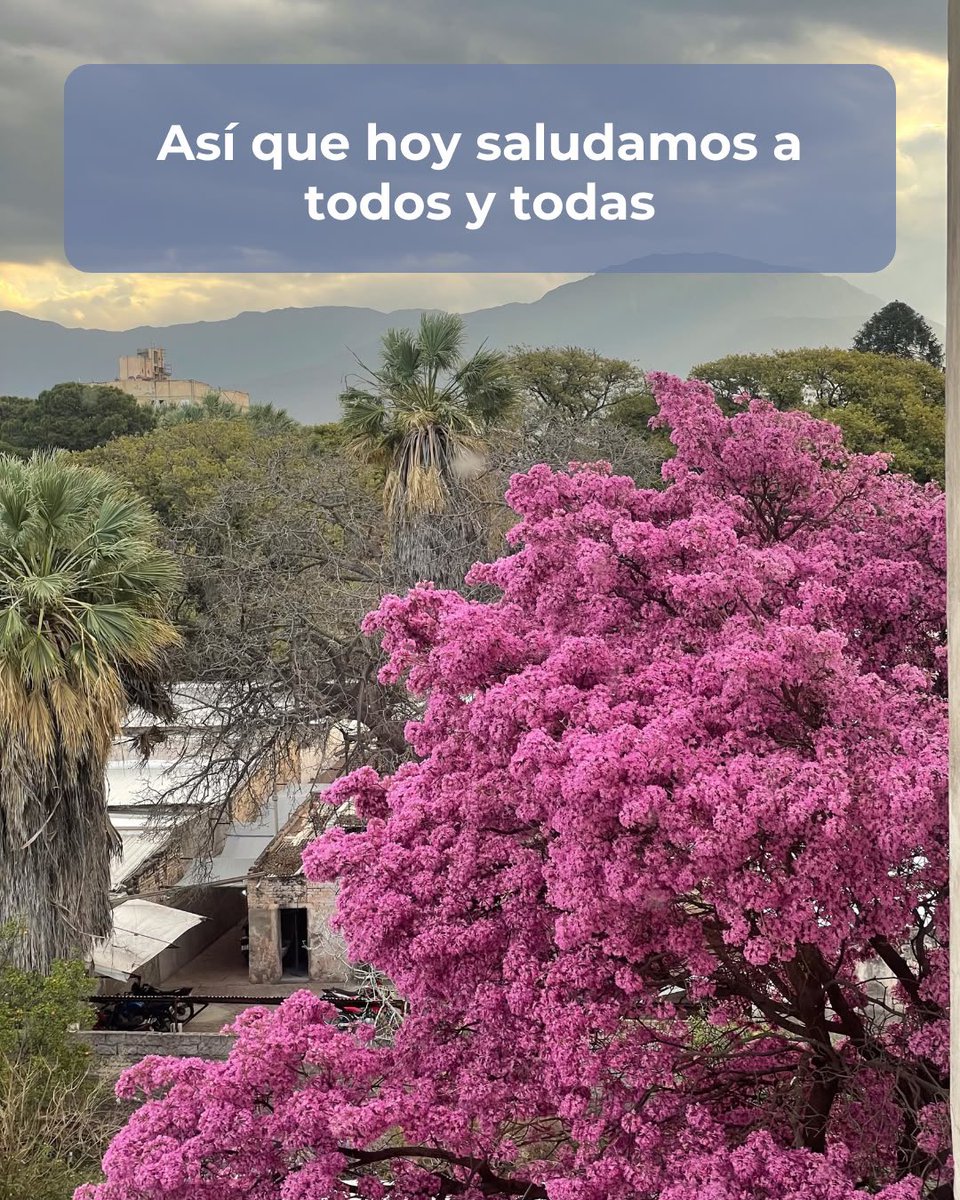 QuintelaRicardo's tweet photo. ¡Feliz día! 
A los que estudian, enseñan, cuidan, y trabajan todos los días por un para construir una sociedad mejor. https://t.co/yapLZanSKQ
