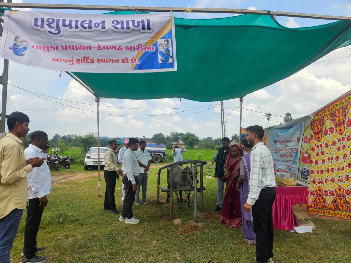 infodahodgog's tweet photo. દેવગઢ બારીઆ તાલુકામાં “સેવા સેતુ ૨.૧ (ગ્રામ્ય) કાર્યક્રમ-૨૦૨૬” યોજાયો #SSDHD2 @InfoGujarat @CollectorDahod https://t.co/fkIYPSLnZJ