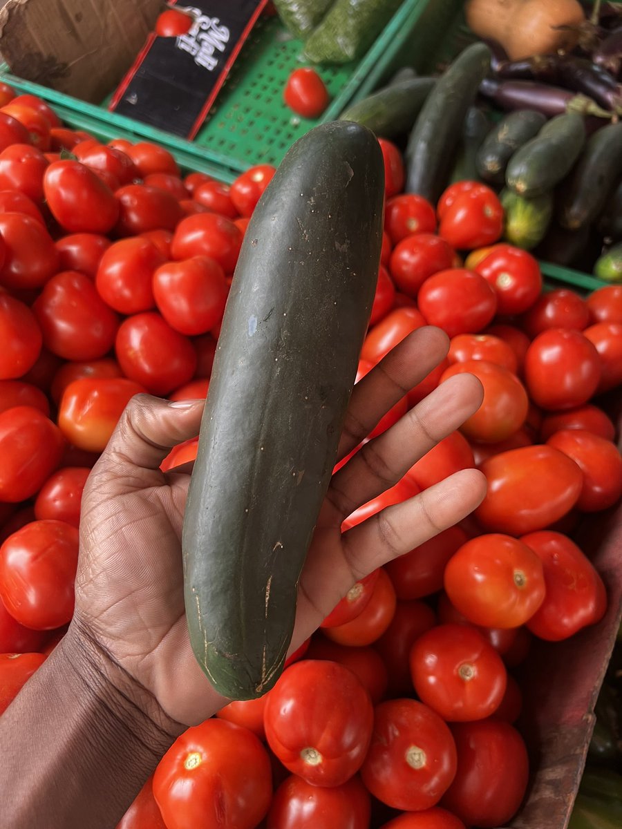Techsupport97's tweet photo. Nimekuja hapa kununua ginger. Nikapatana na hii cucumber niulize inaleta nutrients gani kwa mwili? https://t.co/uYonRFEfND