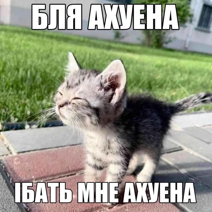 trmdllxn's tweet photo. я просто в ахуе неужели в жизни может случаться что-то хорошее https://t.co/M7kavmhwI7