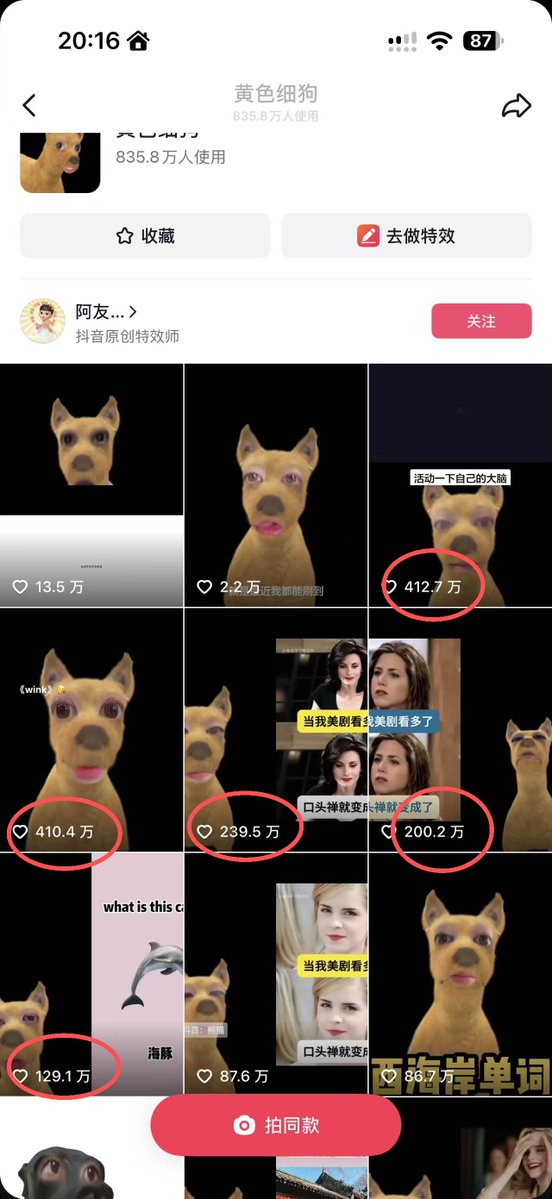 Wqa3O's tweet photo. 抖音爆火新晋狗特效
黄-色-细-狗
每条视频基本抖音100万点赞
播放量超20亿
开始疯狂二创的meme
它和刚出圈的《牛来》其实很像
发射！！！
https://t.co/s8m1lX4tzw https://t.co/Wt3Wbcebbf