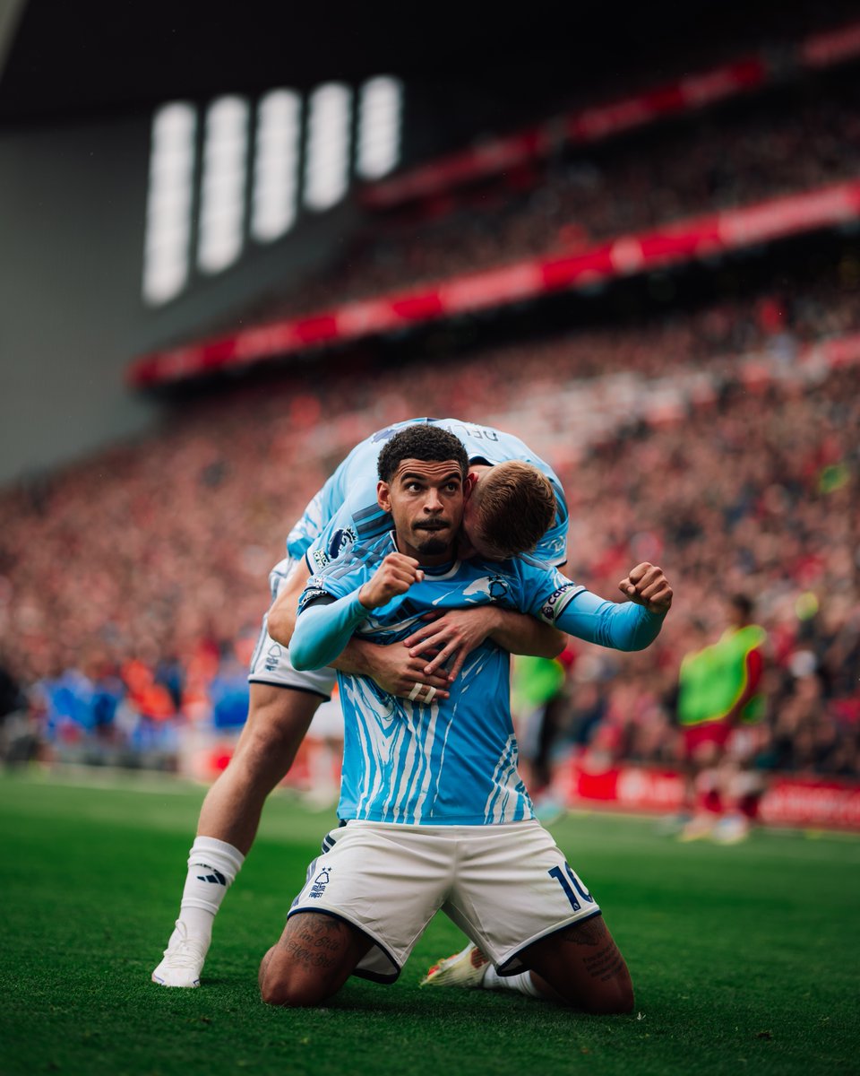 NFFC tweet picture