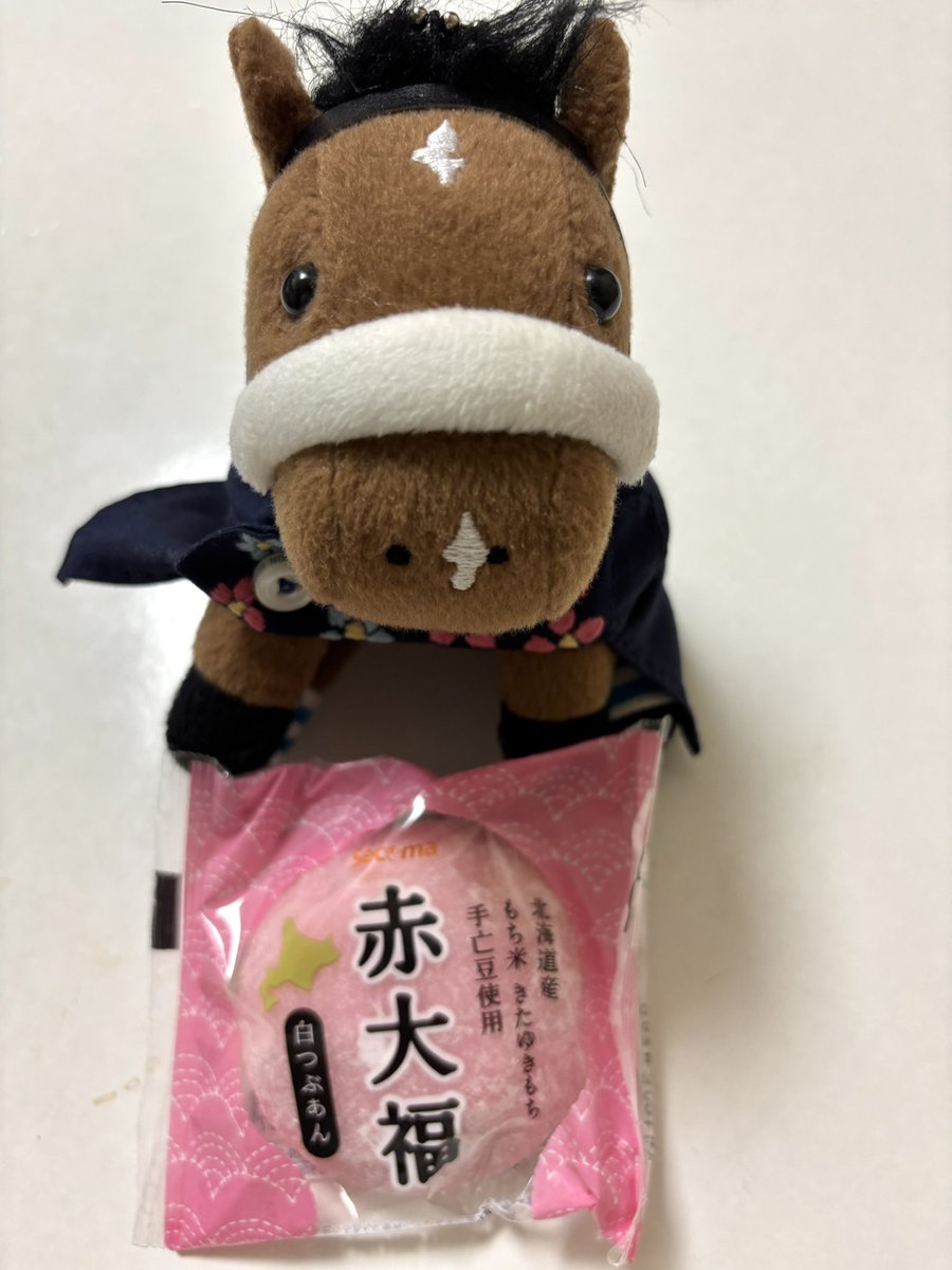 chocochestnut's tweet photo. 無事に帰宅！
アイちゃんもおつかれさま！ https://t.co/Lhk3QRHEd0