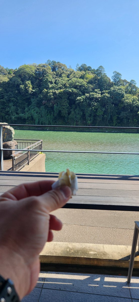 Nesl_Gu's tweet photo. 優雅な昼下がりに自然の景色を眺める...

写真はかつてアイスクリームだった物 https://t.co/fySKAnDOTH