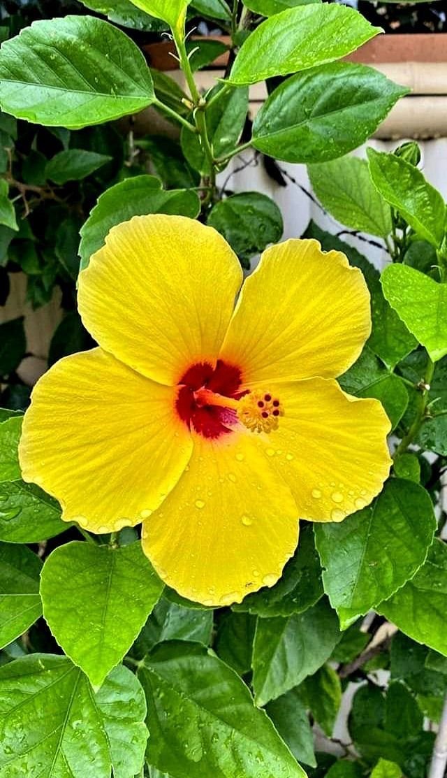 MariaLuisaPine1's tweet photo. Buenos día https://t.co/UZh3UzSyyi