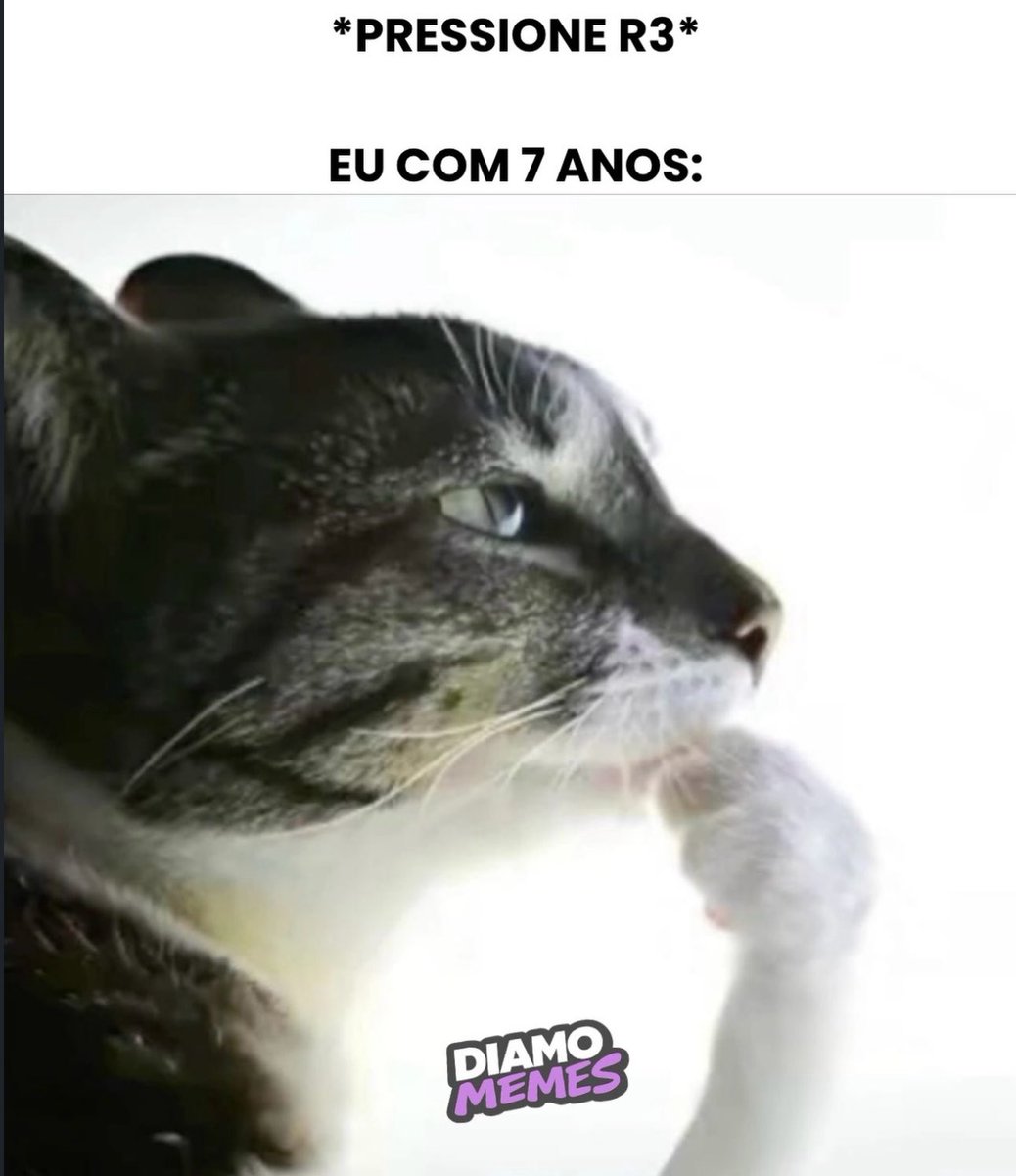 shitpostverdade's tweet photo. https://t.co/g5n9tA0I55