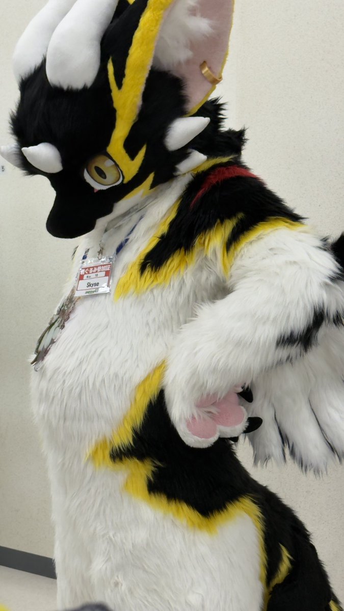 rokukuro7721's tweet photo. アルシャくん！
いっぱいお写真を撮らせていただきました！
めちゃくちゃ可愛かったです！また、お会いしたいなぁ〜
#けもケット17 https://t.co/LKpNddldYe