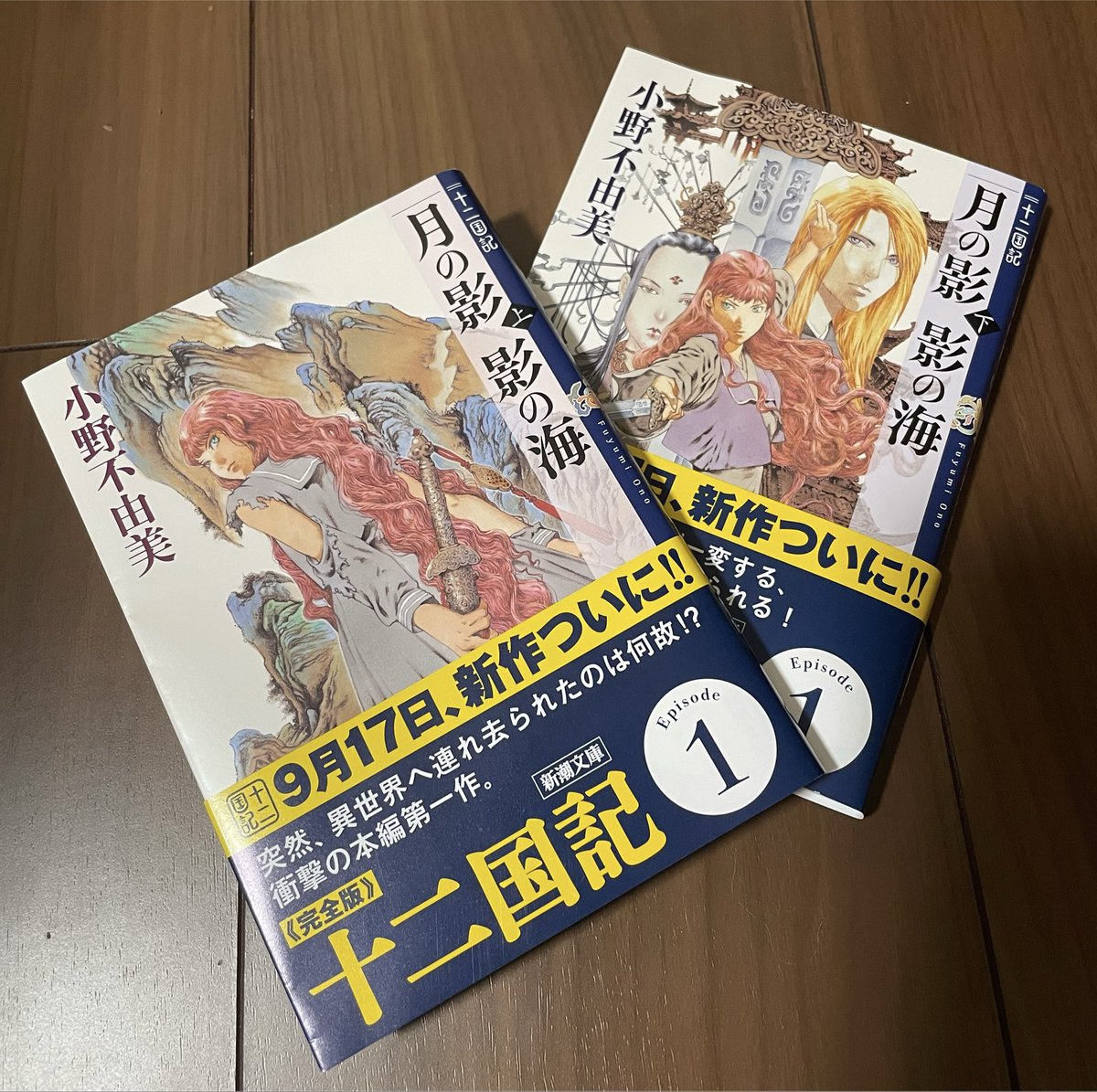 haruharu_14a's tweet photo. 月の影 影の（下）　読了

ネズミが出るまで耐えて良かった‼︎
下巻は一気読み😆
感想を語り合いたくなる！

読んだことない人のネタバレになりたくないから多くは語れないけど、辛くても耐えて欲しい！
ドキドキハラハラ楽しかった😊✨

#十二国記　#読了 https://t.co/A26Hqxe6VZ