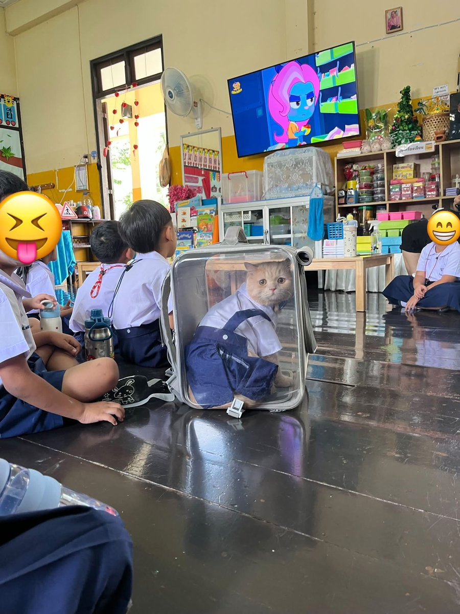 artza's tweet photo. 🛑ต่อไปนี้ห้ามบอกใครบอกว่าหนูเป็นลูกแมวนะ…นี่มันลูกคนชัดๆ…ไม่เห็นหรอคะใส่เสื้อใส่ผ้า แถมเข้าโรงเรียนแล้วด้วย…ตอนนี้อยู่อนุบาลฉองขวบแล้ว😝 ลูกๆของพี่ๆเข้าโรงเรียนเหมือนน้องหรือยังคะ😂
🔴🔴🔴🔴ขอบคุณพี่ๆที่เป็นห่วงเรื่องกระเป๋านะคะ น้องไม่ได้อยู่นานค่ะ ไม่กี่นาที ที่เอาใส่กระเป๋าเพราะว่า กลัวเพื่อนๆน้องหมั่นเขี้ยวแล้วขยำน้อง และป้องกันน้องไปตบเพื่อนๆค่า☺️☺️☺️
🛑🛑🛑🛑ขนาดน้องอยู่ในกระเป๋า น้องก็โดนเพื่อนๆขยำที่กระเป๋าไปแล้ว🥹🥹เพื่อนน้องบอกว่าน้องน่าฟัด ตัวนุ่มนิ่มเกิน อดใจไม่ไหว
Cr  ปรึกษาเรื่องแมว by ปอน