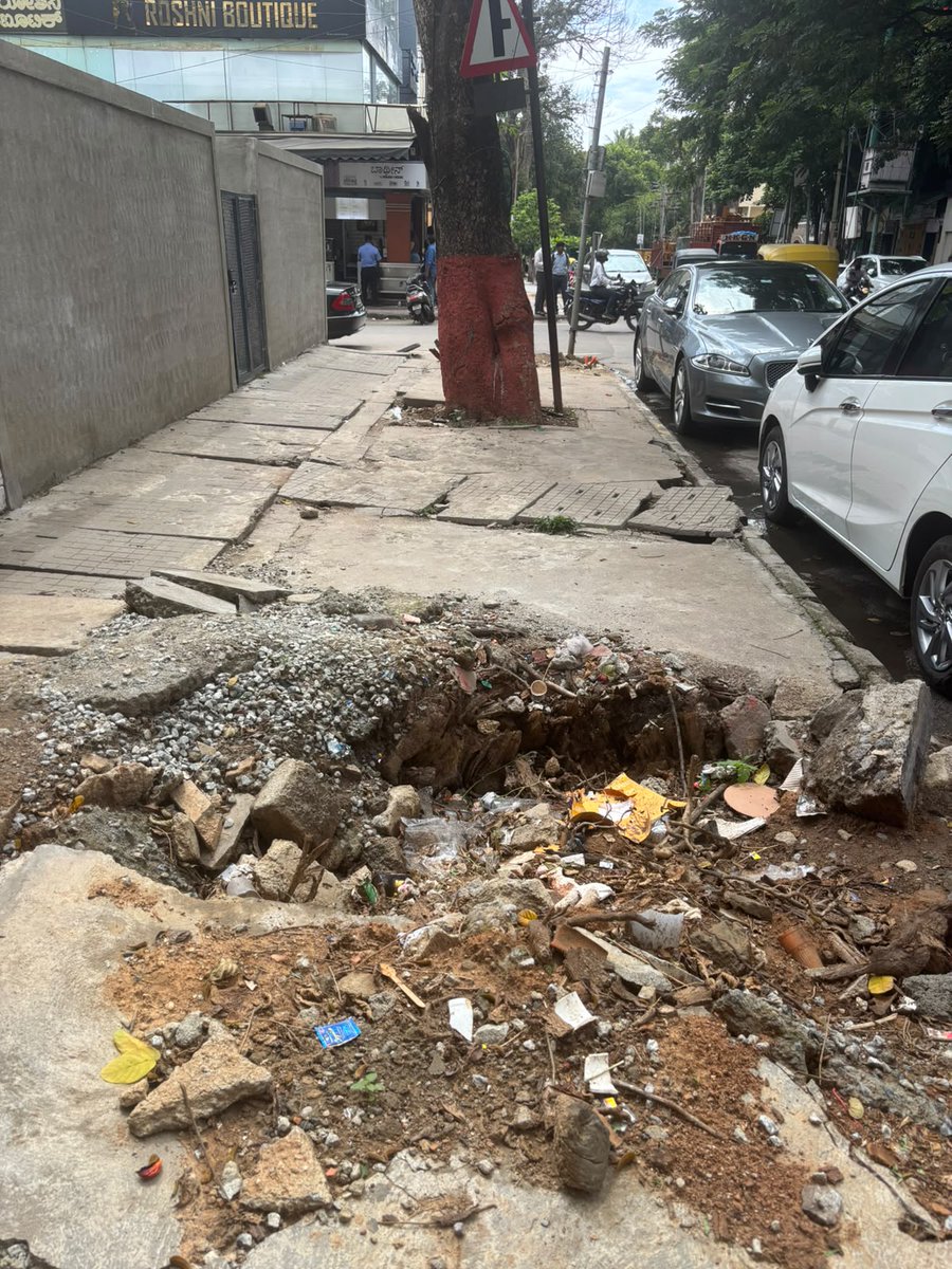 arjunvj93's tweet photo. Specifically the 12th Main @GBA_office @bbmpcommr @krishnabgowda 
It is filled with rats, please look into this! https://t.co/2VFPY3pZpI