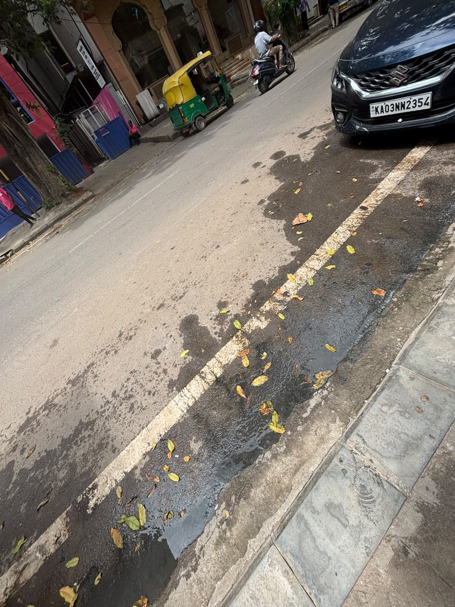 arjunvj93's tweet photo. Specifically the 12th Main @GBA_office @bbmpcommr @krishnabgowda 
It is filled with rats, please look into this! https://t.co/2VFPY3pZpI