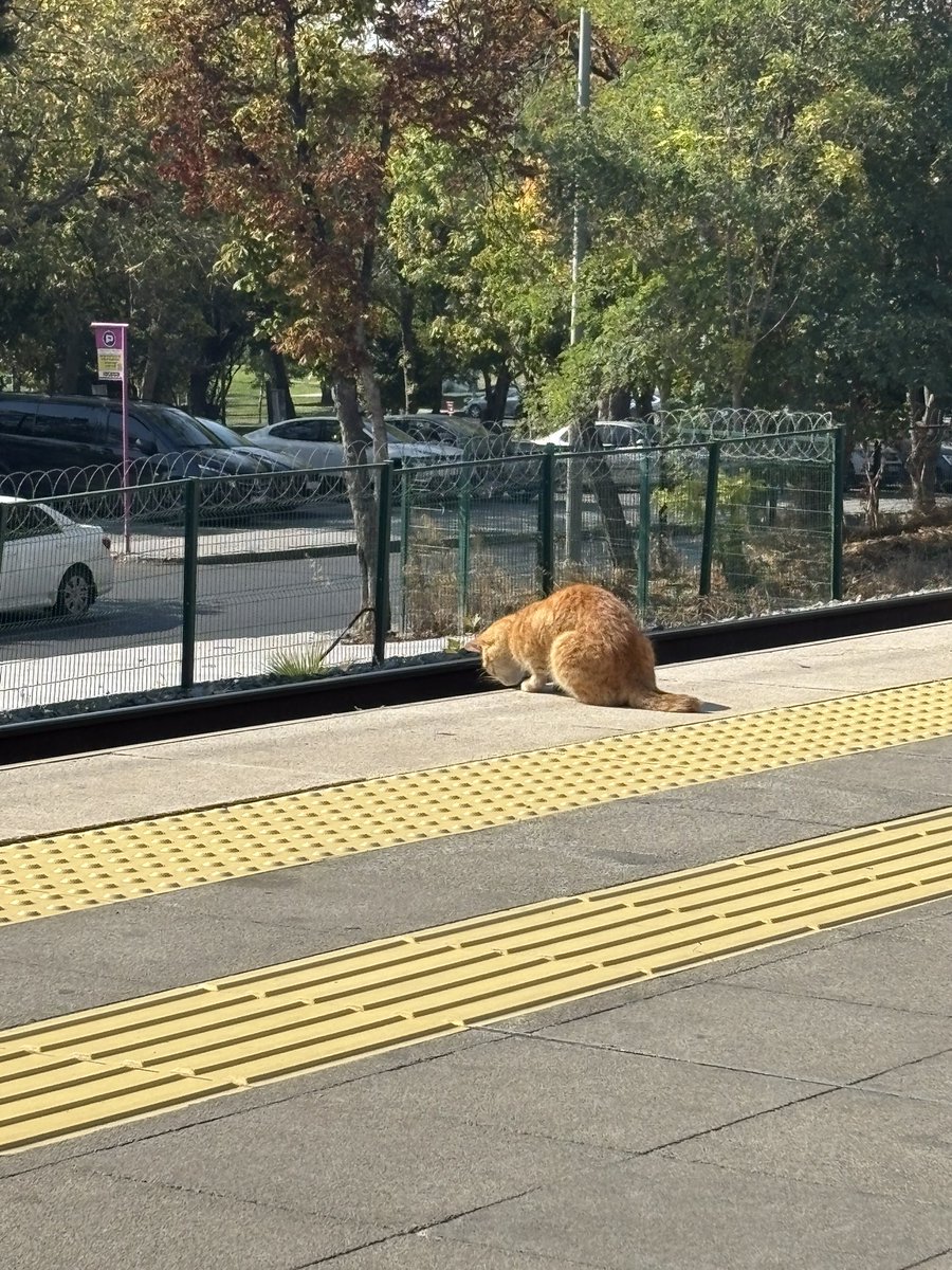 0Vildann_'s tweet photo. Şu intiharları iş saati dışı yapın kardeşim https://t.co/Kq6TWh1IdG