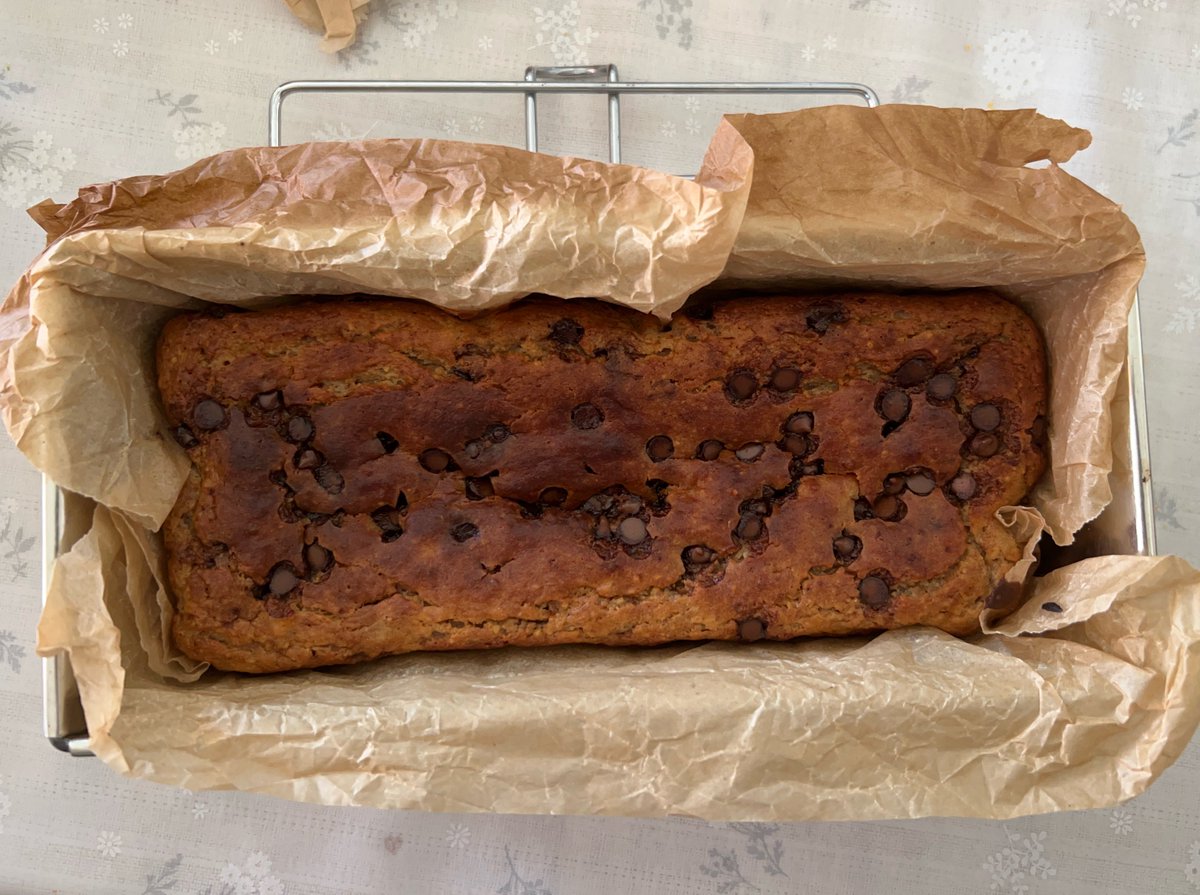bowtrees's tweet photo. chocolate chip banana bread ;) https://t.co/yiagTv7bvU
