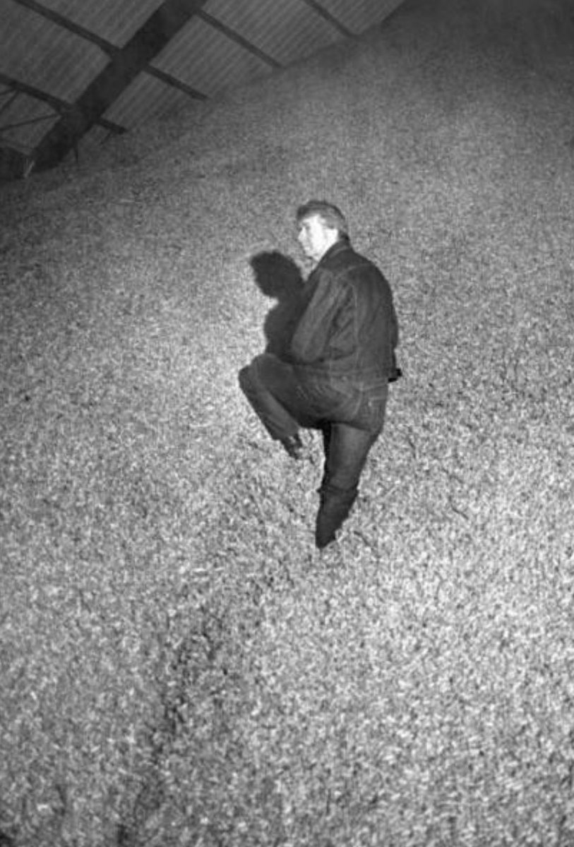 50YearsAgoLive's tweet photo. Presidential candidate Jimmy Carter wades through a sea of peanuts at his farm in Plains, Georgia. https://t.co/UBgVO3GkWZ