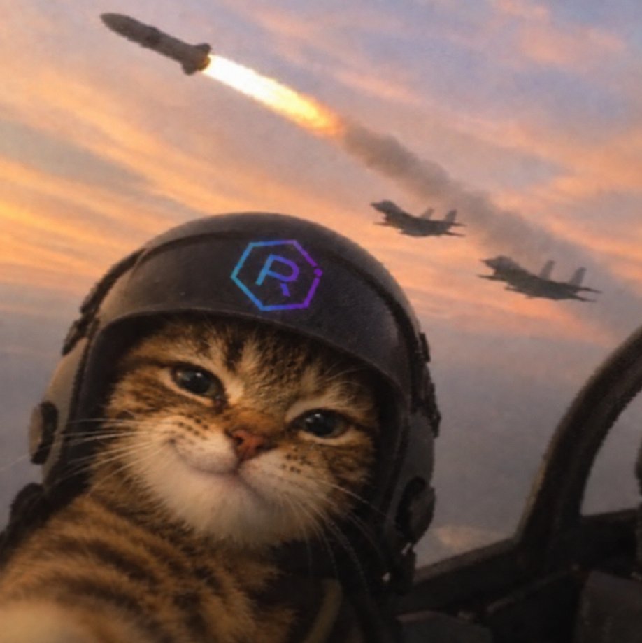 RaycatofSol's tweet photo. Let's show them how it's done, LFG! $RAYCAT https://t.co/7X6t5yWlhV