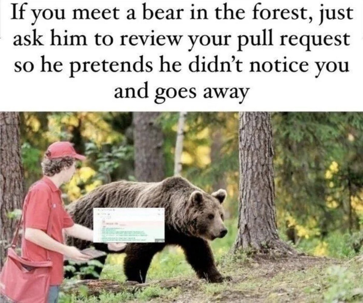 gabeHoe's tweet photo. If you meet a bear in the forest, just ask him to review your pull request so he pretends he didn't notice you and goes away 🫠😅 https://t.co/Bkf0gqfTl9