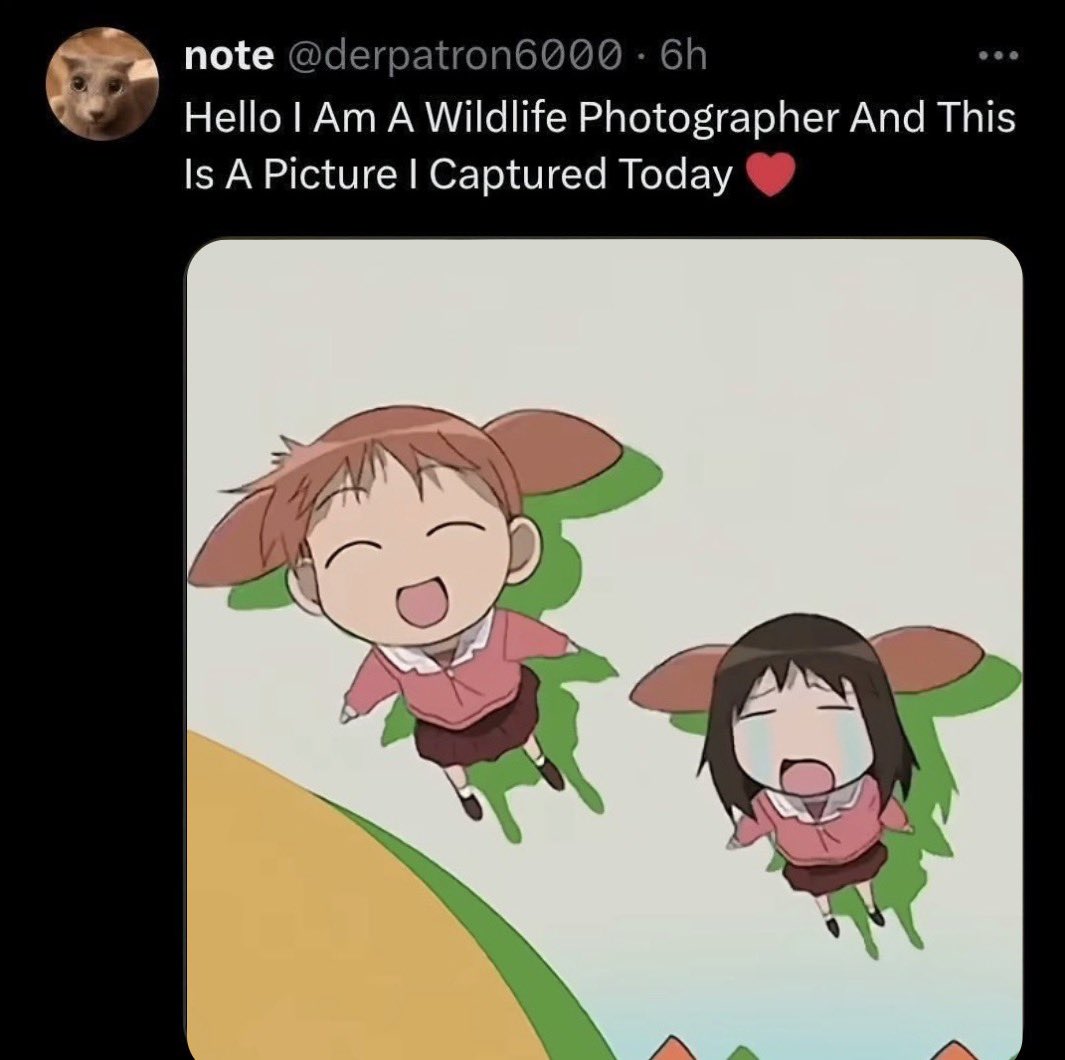 highoffdespair's tweet photo. https://t.co/gyDnESPi0f