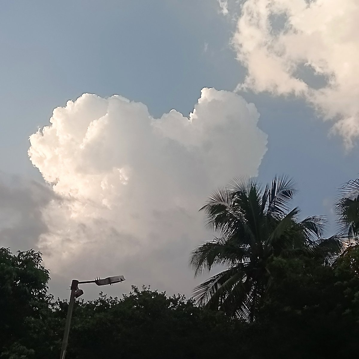sp_shru81's tweet photo. Nature left love note🍃 ☁️ https://t.co/zZ0Dmxz0D5