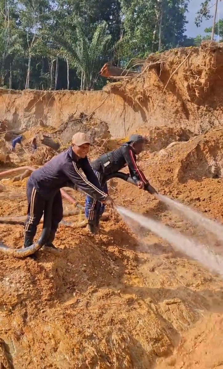 Fritz_A_Sanchez's tweet photo. ...a pesar del tutelaje norteamericano, la actividad aurífera ilegal al #SurDelOrinoco no ha cesado, ni siquiera disminuido ! 

la destrucción avanza y las economías ilícitas que la controlan siguen tutelando la devastación de nuestra Guayana venezolana 😞

#VenezuelaFragmentada 
#AmbienteSinDerechos