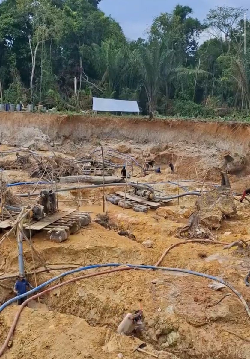 Fritz_A_Sanchez's tweet photo. ...a pesar del tutelaje norteamericano, la actividad aurífera ilegal al #SurDelOrinoco no ha cesado, ni siquiera disminuido ! 

la destrucción avanza y las economías ilícitas que la controlan siguen tutelando la devastación de nuestra Guayana venezolana 😞

#VenezuelaFragmentada 
#AmbienteSinDerechos