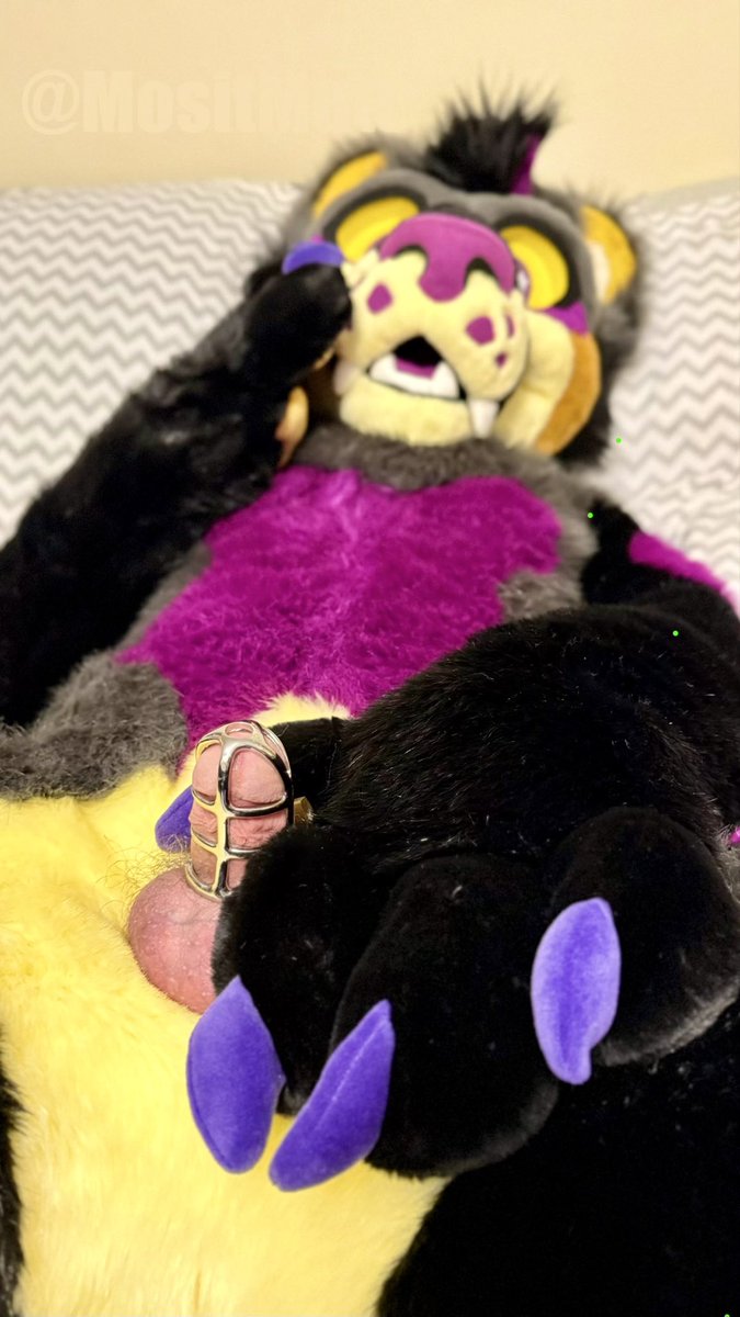 moistmutt's tweet photo. It’s almost locktober, you know what that means! How long will yall lock me up before Oct 1st!

1 like = 10 minutes  👍
1 comment = 30 minutes 💬
1 repost = 1 hour 🔁

Can you keep me caged all month?

If you want to tease me while I’m caged too: https://t.co/rvZC5fBVpI https://t.co/snQoB3kZbk