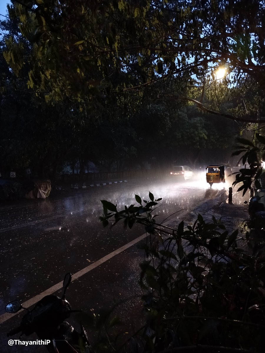 ThayanithiP's tweet photo. மழை 🌧️⛈️ 

#ChennaiRains https://t.co/tM2EwAgHXC