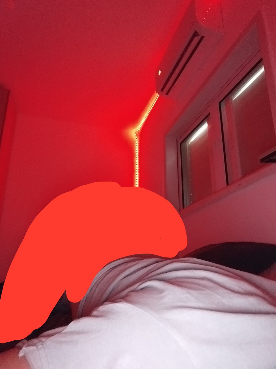 TONK_4's tweet photo. Who wants the full pic? 👀👀 https://t.co/JtCiKbU1BA