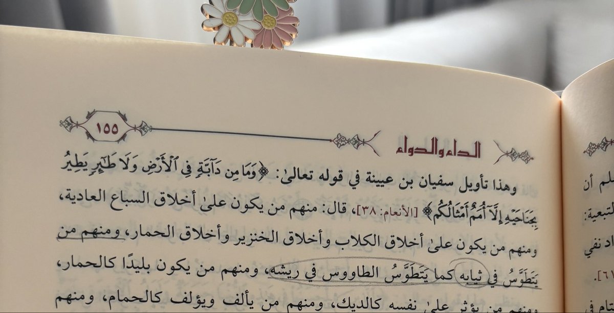 iibill_'s tweet photo. يتطوس في ثيابه: يزهو بهيئته ويتبختر في حلته، ويستعرض زينته استعراض الطاووس ريشه، فهو مشغوف بالمظهر، متيه بزخرف اللباس وحسن الهيئة. https://t.co/JFz0kLJ9is