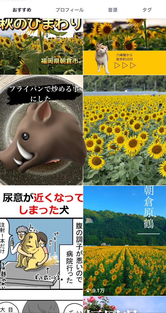 ollq__017's tweet photo. 「炒めることにした。」じゃねえし
運営仕事しろ https://t.co/izN1ZXPNGV