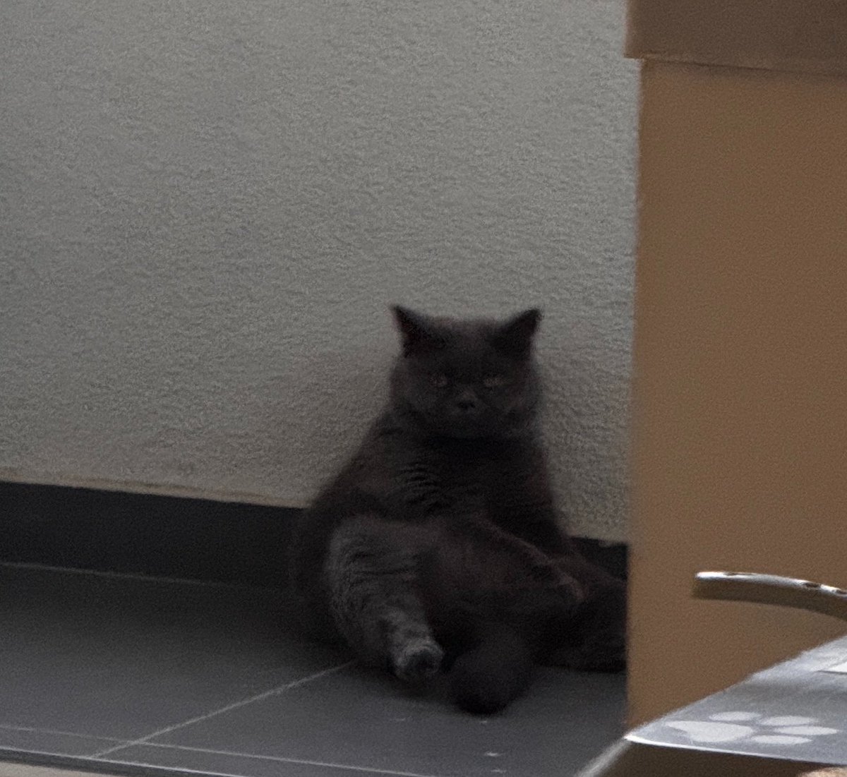 hayalcelen's tweet photo. @lanbisalya Doblocu böcük https://t.co/q0oQe7x6qp