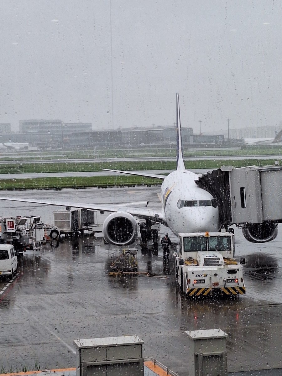 vince_722's tweet photo. 無事東京脱出しました✈️

こんな悪天候でも安全に飛ばして頂き感謝です🙇‍♂️🙇‍♂️
まぁ揺れたけどしょうがない https://t.co/Zqzww2itvk