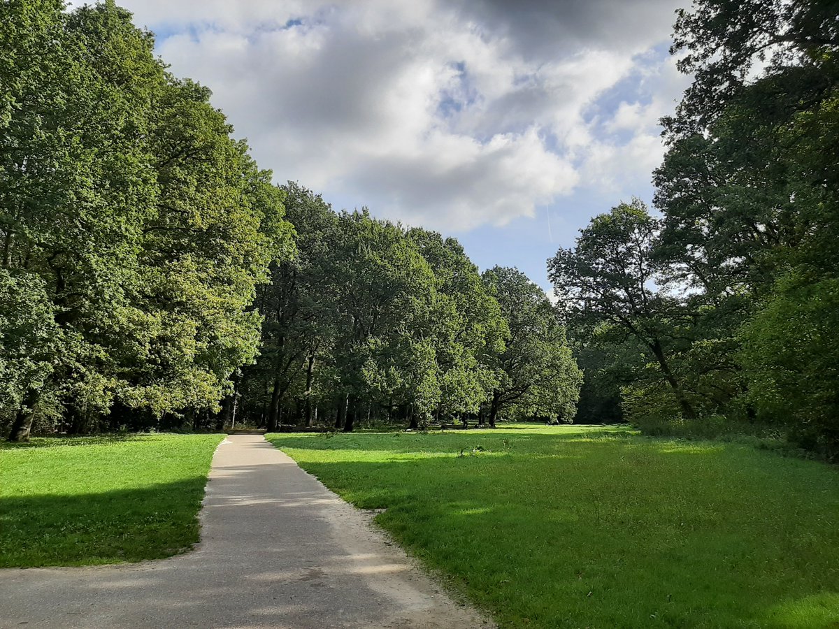 MEKloppenburg's tweet photo. Het was weer héérlijk in het Kralingse Bos en langs de Plas. #Rotterdam #Roffa #Kralingen #Plasmolens #dutch #windmills #clouds Nog een héél mooie maandag! https://t.co/wgYgwTbEp5