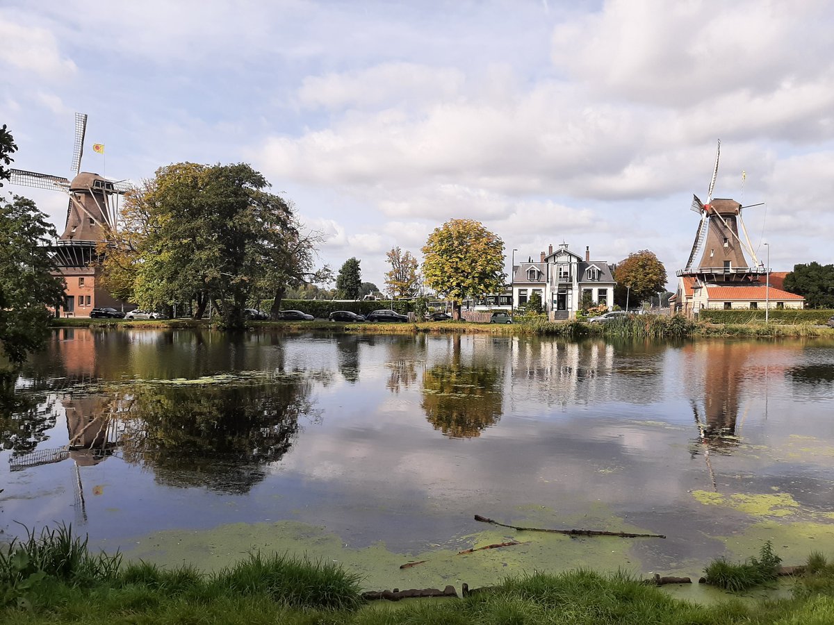 MEKloppenburg's tweet photo. Het was weer héérlijk in het Kralingse Bos en langs de Plas. #Rotterdam #Roffa #Kralingen #Plasmolens #dutch #windmills #clouds Nog een héél mooie maandag! https://t.co/wgYgwTbEp5