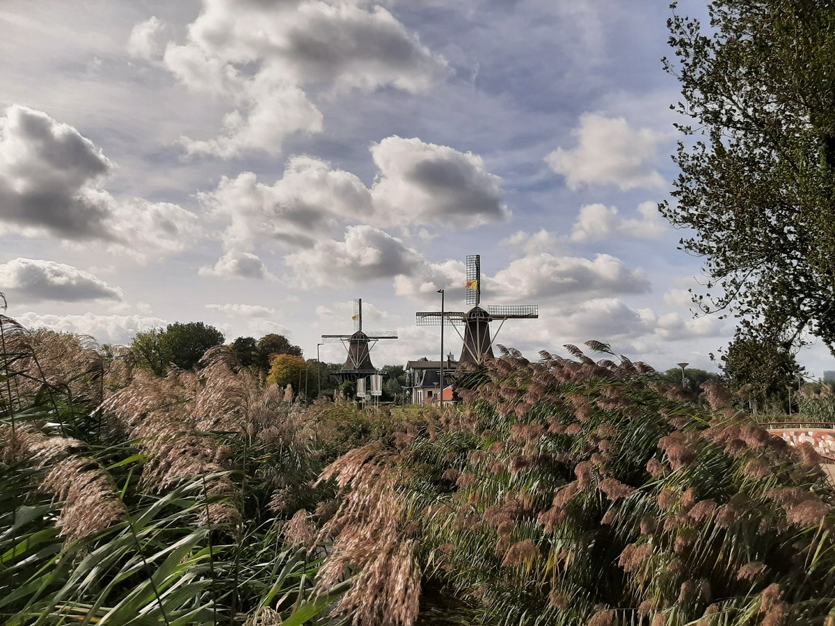 MEKloppenburg's tweet photo. Het was weer héérlijk in het Kralingse Bos en langs de Plas. #Rotterdam #Roffa #Kralingen #Plasmolens #dutch #windmills #clouds Nog een héél mooie maandag! https://t.co/wgYgwTbEp5