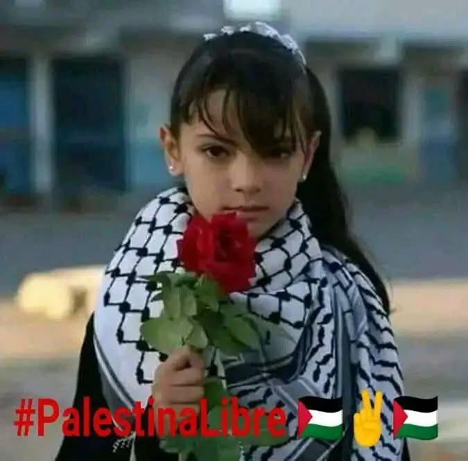 MirandaJobeco's tweet photo. Hoy mi primer pensamiento es para los niños de Palestina https://t.co/YP8bpcI26m