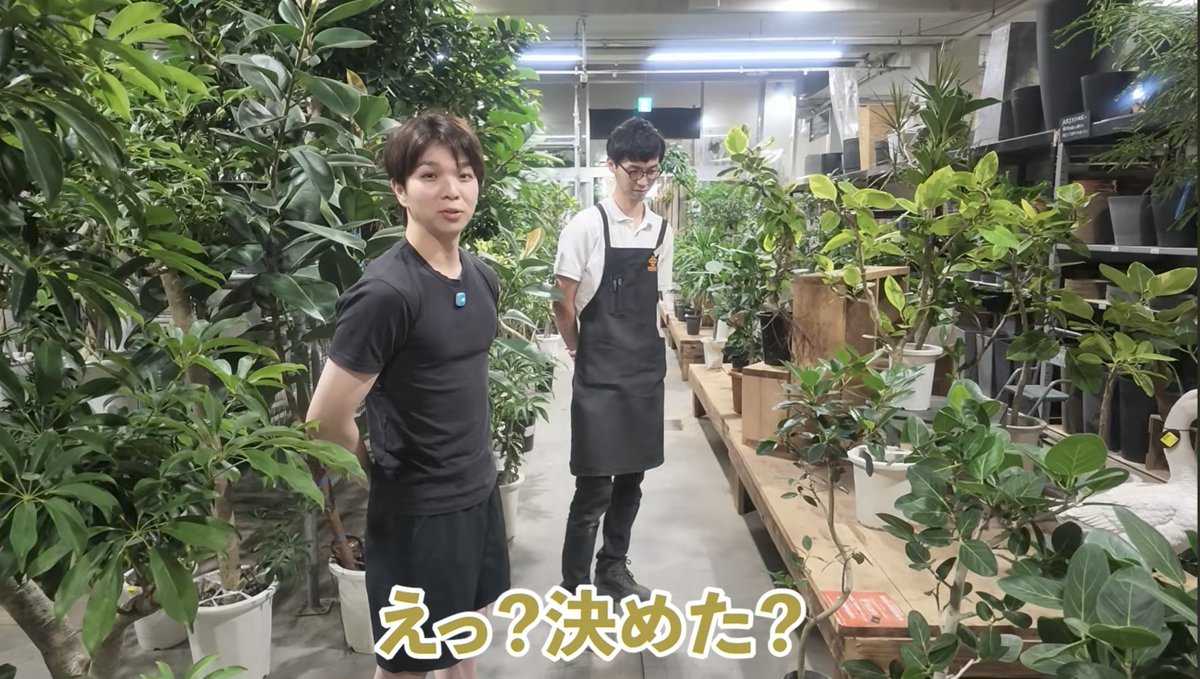 mo__384569__mo's tweet photo. 普段着痩せしててわからないのに、
ふとした瞬間に鍛えてるのが分かる初期装備が好き
#じんだいチャンネル #塩﨑太智 https://t.co/S26hM7bJgk
