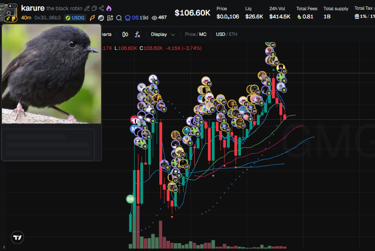 shardsca1ls's tweet photo. Complete RH chain scan in place, cluster activity gets caught right away.

$karure showed up on our tracker within minutes.

Telegram goes private soon, grab free access while it's open, link in bio.

CA: 0x300fcb4bbe8c86b844536ea7d817e4bd0f1096b3 https://t.co/VnABZpjysm