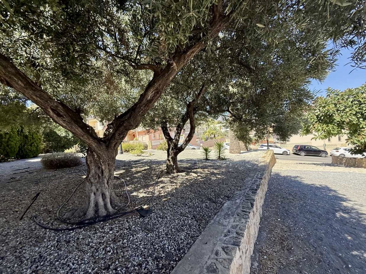 BernabeCanoES's tweet photo. 🚧⛪️Arrancan las obras de renovación de la plaça de la Ermita de Sant Rafel de @LaNuciaES con una inversión de 270.000€.

��Mejorando el pavimento, la iluminación y las zonas verdes que rodean la ermita.

➕���️👉🏻 https://t.co/3F3EXNYOyX

#LaNucia #FentPobleFemFutur https://t.co/HdvCkdvpJQ