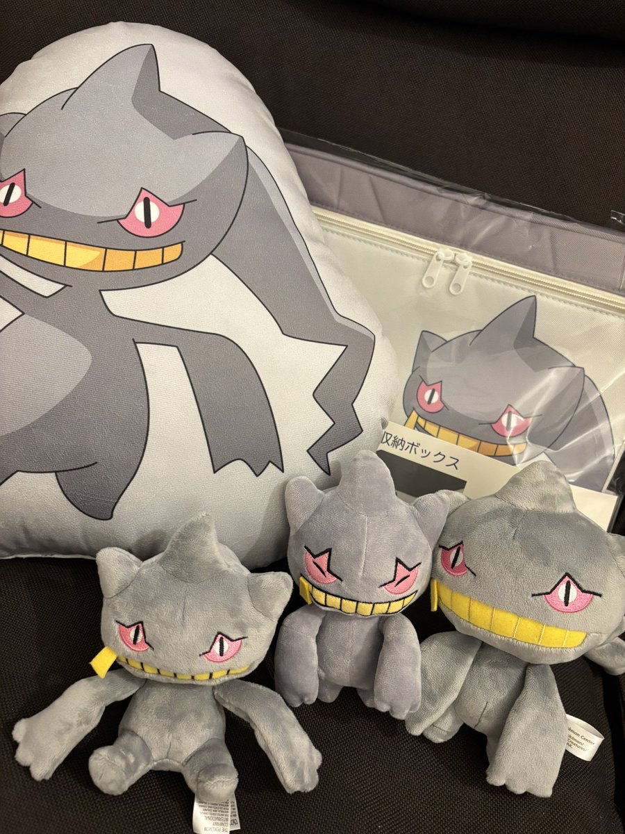 shioppi_sp's tweet photo. ようやくしまむらに行けて、推しが残ってたから買っちゃったよ〜👻クッションと収納ボックス。きゃわ〜🫶 https://t.co/xi1e8ZdJLk