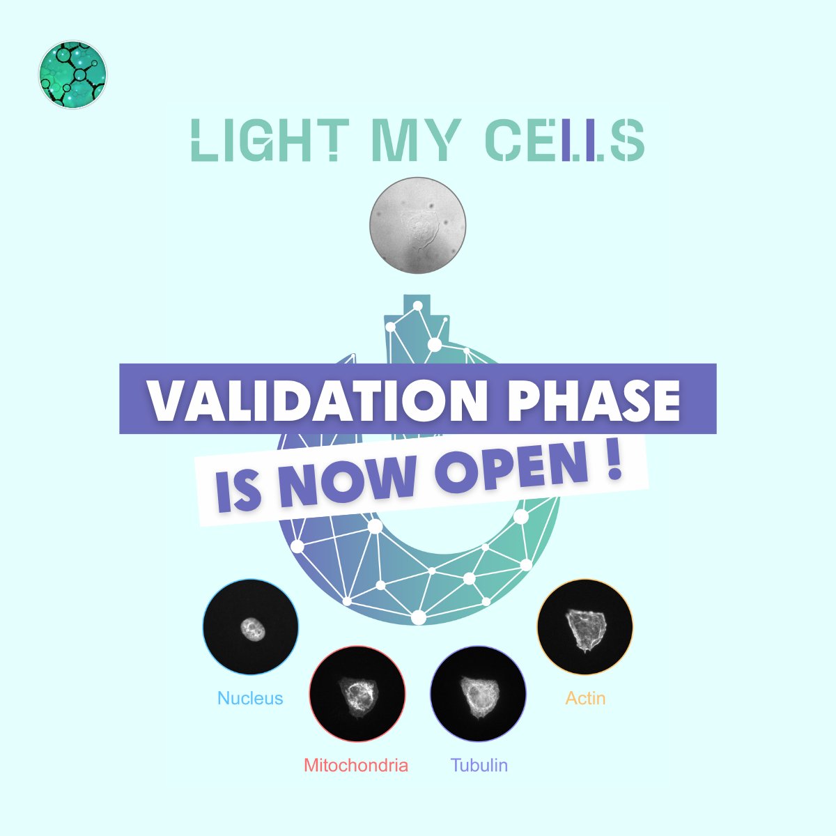 Fr_BioImaging's tweet photo. [CHALLENGE] Light My Cells 2 - The validation phase is now open!

The FBI machine learning competition is entering a new phase.

Participants now have the opportunity to test up to 5 submissions until Nov. 30, 2026.

Interested? Join the competition now!👇
https://t.co/LUsMfDO3Pl https://t.co/mlvKwGjYvS