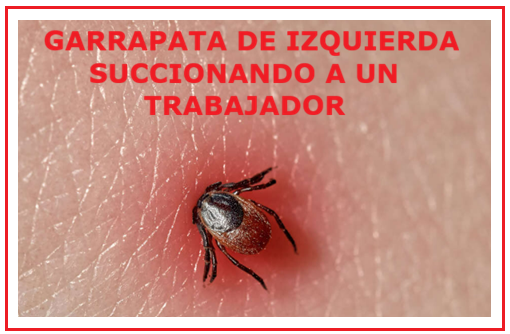 sergiou01329861's tweet photo. Lamentamos el dolor y llanto de tantos dirigentes, apitutados y políticos de izquierda, que se quedaron sin cargos para ocupar en la ONU bajo las faldas de la tía Bachelet.
Un minuto de silencio por esas garrapatas que viven a costa de los impuestos que paga la gente que trabaja. https://t.co/gV52hbCc2W