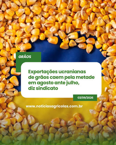 Amlia1712's tweet photo. @Koba_Soren @bbcbrasil Perfeito!🫒
"George Soros atua na Ucrânia principalmente por meio da Fundação Internacional do Renascimento, criada por ele em 1990"
https://t.co/zb9U46dp9o
E etc... https://t.co/kxbbEzI2b1