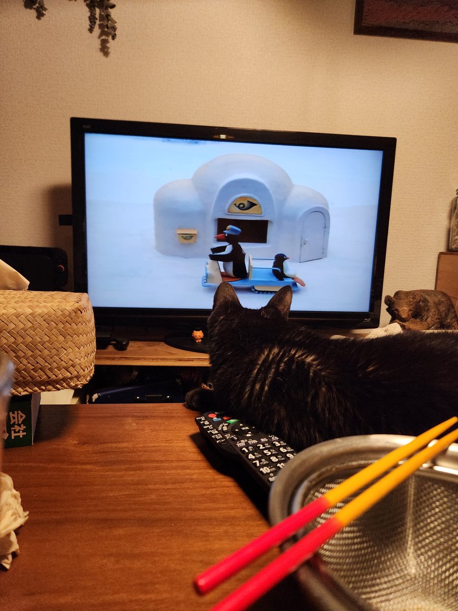 chidaruman87's tweet photo. はじめてピングーをちゃんと見てるのだが、声がなかなかとがっててめちゃおもろい https://t.co/7X6gtZIVnb
