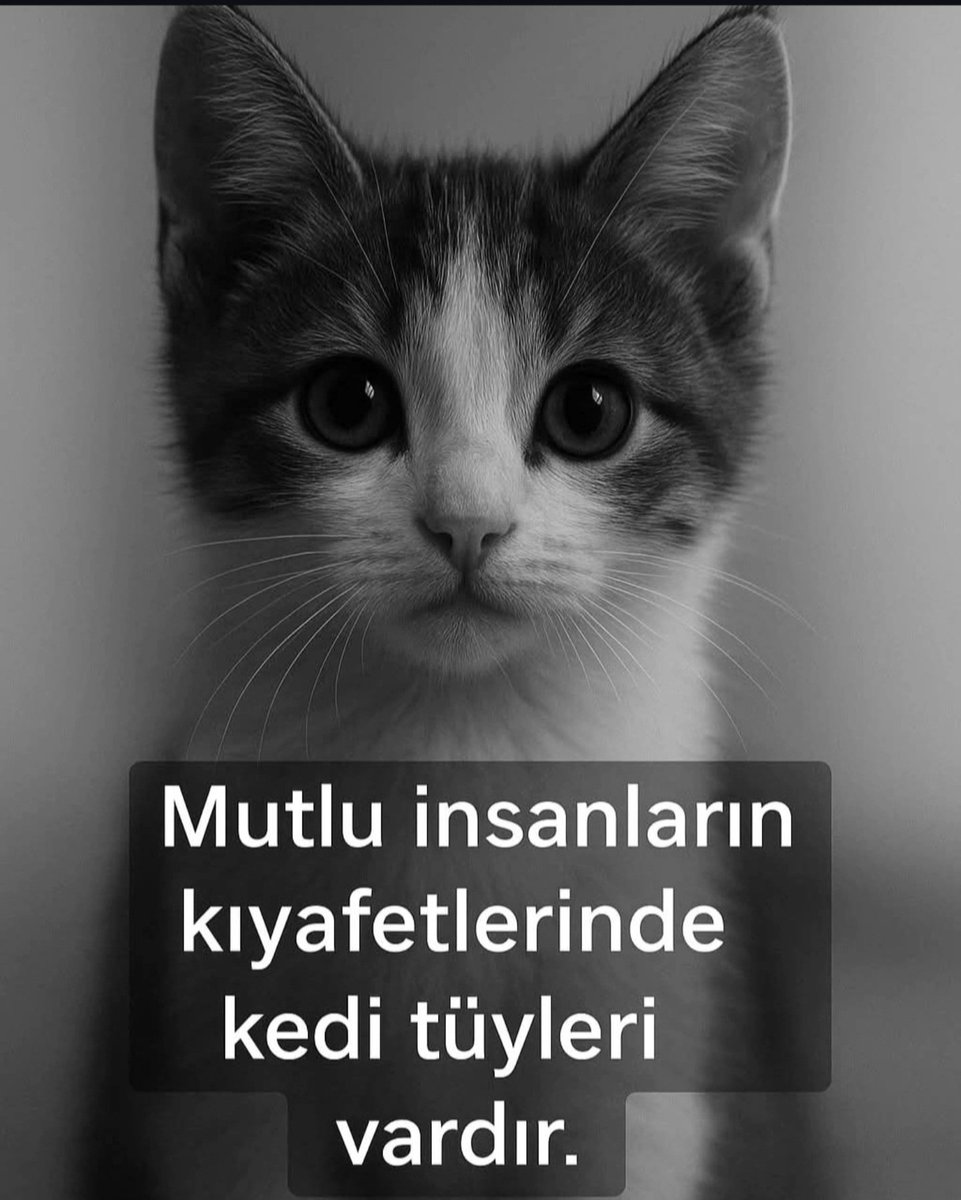 fntkomrr's tweet photo. 😻🥳 https://t.co/olsO0cfKDe