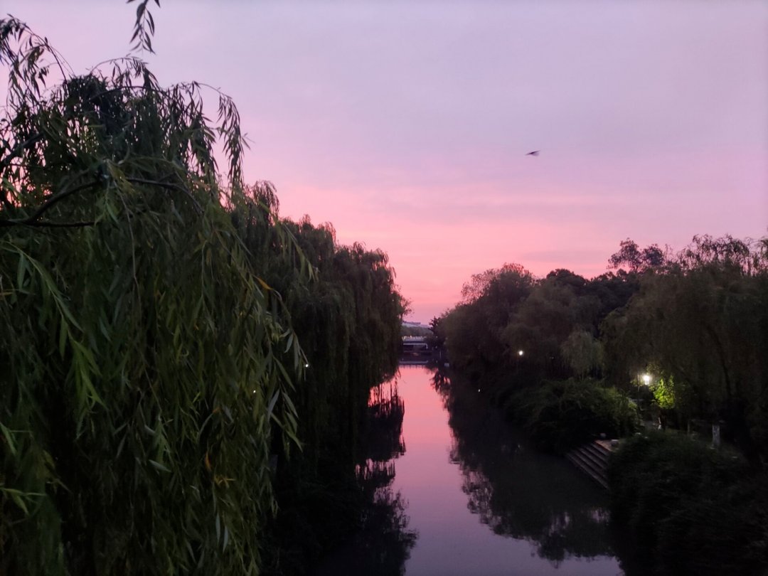 MayaCarrinwytr's tweet photo. Vibeando con una canción que me hace flotar, la mejor manera de perder el tiempo y cargar las energías ， https://t.co/dCH0t7lbCN
